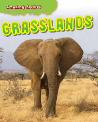Kniha Grasslands Leon Gray
