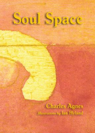 Knjiga Soul Space Charles Agnes