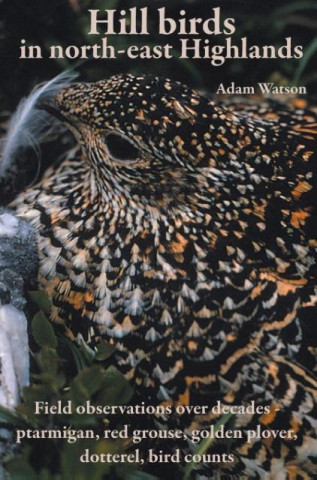 Książka Hill birds in north-east Highlands Adam Watson