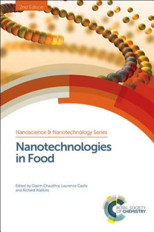 Könyv Nanotechnologies in Food Qasim Chaudhry