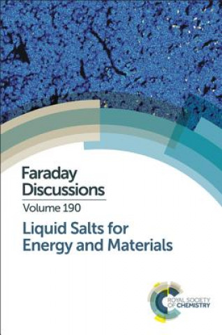 Könyv Liquid Salts for Energy and Materials 