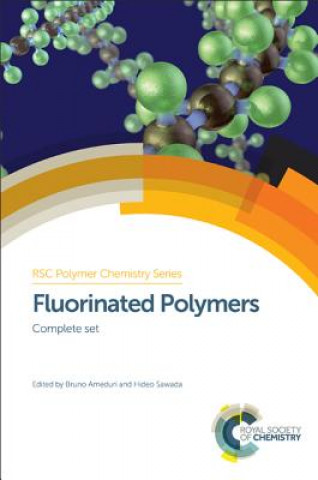 Carte Fluorinated Polymers Shohei Yamazaki