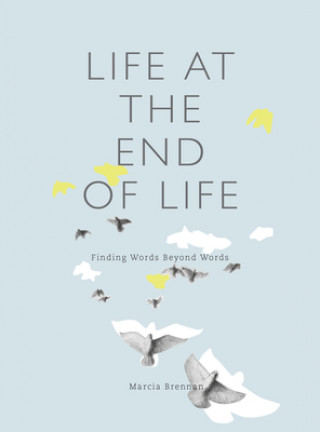 Könyv Life at the End of Life Marcia Brennan