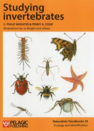 Livre Studying Invertebrates C Philip Wheater