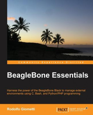 Carte BeagleBone Essentials Rodolfo Giometti
