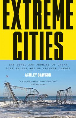 Könyv Extreme Cities Ashley Dawson