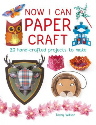 Carte Now I Can Paper Craft: 20 Hand-Crafted Projects to Make Tansy Wilson