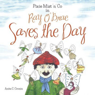 Livre Pixie Mist 'n' Co in Ray O' Brae Saves the Day Anita C. Cronin