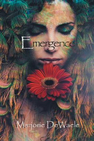 Carte Emergence Marjorie DeWaele