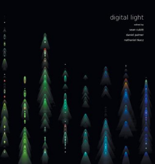 Könyv Digital Light Sean Cubitt