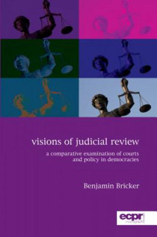 Carte Visions of Judicial Review Benjamin Bricker
