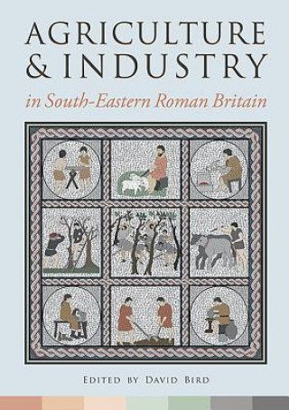 Könyv Agriculture and Industry in South-Eastern Roman Britain David Bird