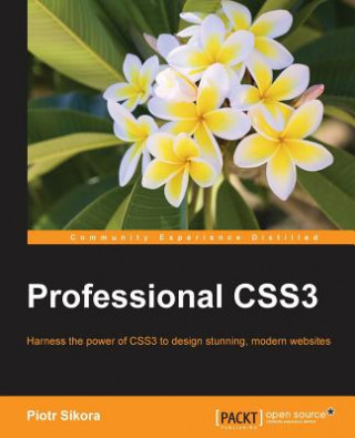 Kniha Professional CSS3 Piotr Sikora
