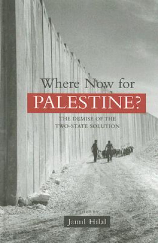 Kniha Where Now for Palestine? Jamil Hilal