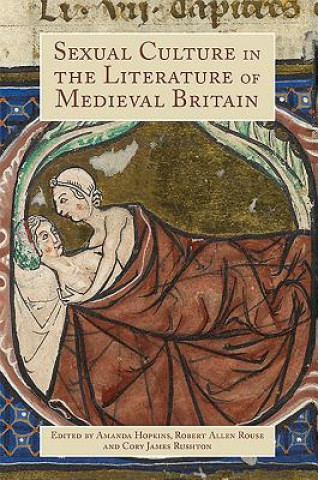 Kniha Sexual Culture in the Literature of Medieval Britain Amanda Hopkins