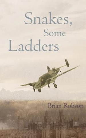 Könyv Snakes, Some Ladders Brian Robson