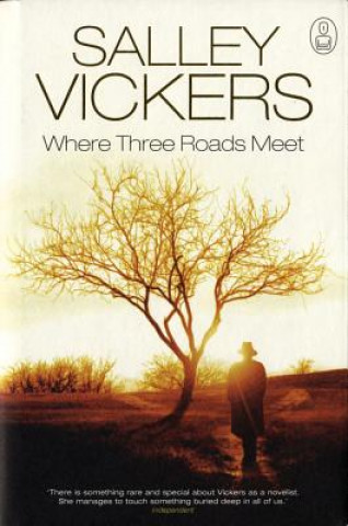 Kniha Where Three Roads Meet: The Myth of Oedipus Salley Vickers