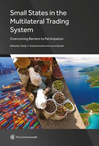 Boek Small States in the Multilateral Trading System: Overcoming Barriers to Participation Teddy Y. Soobramanien