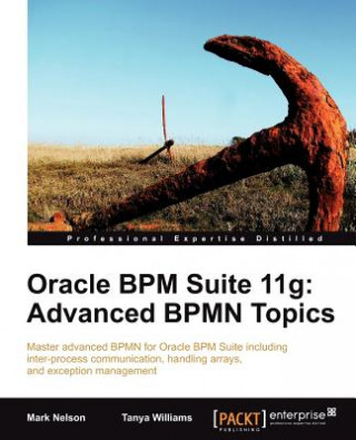 Kniha Oracle BPM Suite 11g: Advanced BPMN Topics Mark Nelson