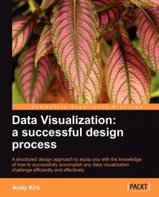 Kniha Data Visualization: a successful design process Andy Kirk