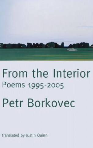 Kniha From the Interior Petr Borkovec