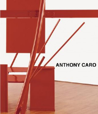 Kniha Anthony Caro Paul Moorhouse