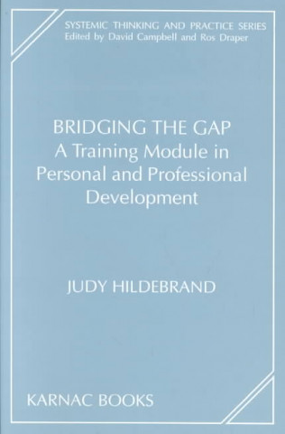 Carte Bridging the Gap Judy Hildebrand
