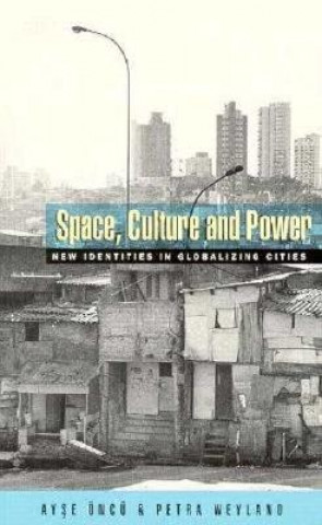 Kniha Space, Culture and Power 