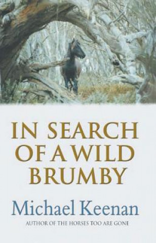 Könyv In Search of a Wild Brumby Michael Keenan