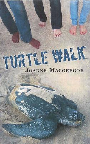 Buch Turtle Walk Joanne Macgregor