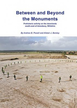 Kniha Between and Beyond the Monuments Andrew Powell