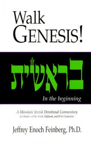 Könyv Walk Genesis!: In the Begining Jeffrey Enoch Feinberg