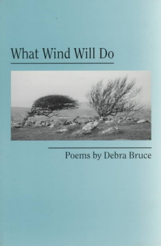 Book What Wind Will Do: Poems Debra Fulghum Bruce