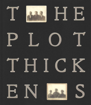 Buch The Plot Thickens Jeffrey Fraenkel