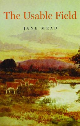 Kniha The Usable Field Jane Mead