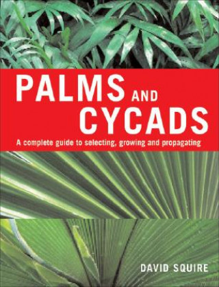 Książka Palms and Cycads David Squire