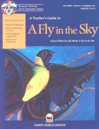 Könyv A Teacher's Guide to a Fly in the Sky Bruce Malnor