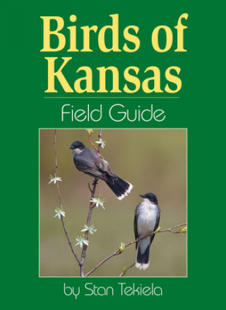 Kniha Birds of Kansas Field Guide Stan Tekiela