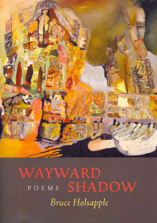 Książka Wayward Shadow Bruce Holsapple