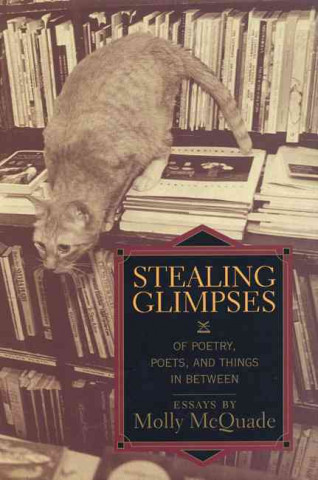 Книга Stealing Glimpses Molly McQuade