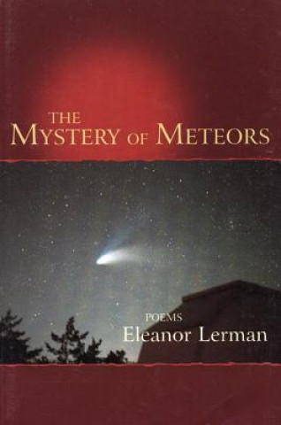 Kniha Mystery of Meteors Eleanor Lerman