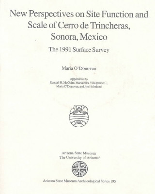 Carte New Perspectives on Site Function and Scale of Cerro de Trincheras, Sonora, Mexico: The 1991 Surface Survey Maria O'Donovan