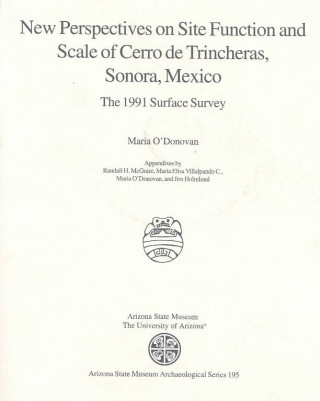 Książka New Perspectives on Site Function and Scale of Cerro de Trincheras, Sonora, Mexico: The 1991 Surface Survey Maria O'Donovan