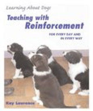 Kniha Teaching with Reinforcement: For Every Day and in Every Way Kay Laurence