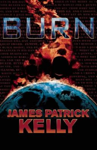 Buch Burn James Patrick Kelly