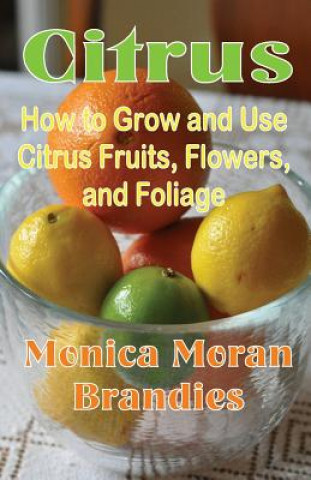 Kniha Citrus Monica Moran Brandies