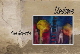 Buch Undone Susan Goyette
