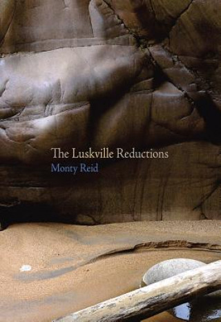 Könyv The Luskville Reductions Monty Reid