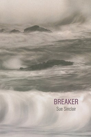 Book Breaker Sue Sinclair