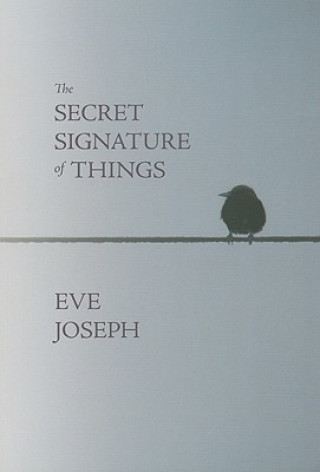 Carte The Secret Signature of Things Eve Joseph